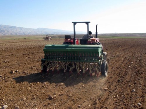 کردستان در کشت مکانیزه گندم آبی و دیم رتبه اول کشور را دارد