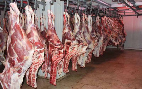 980 تن گوشت برای تثبیت قیمت ها در یزد ذخیره سازی شد