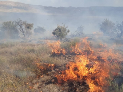 ۳۵هزار هکتار مناطق جنگلی استان سمنان در موقعیت بحرانی آتش‌سوزی