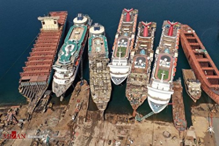 نگهداری ۱۳ کشتی حامل نهاد‌های دامی روی آب با هدف گران‌فروشی