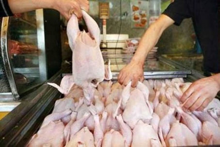 قیمت مرغ در کرمان بر اساس ابلاغ ستاد تنظیم بازار کشور تعیین می‌شود 