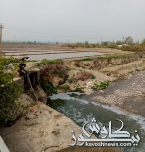 شناسایی مزارع با آبیاری فاضلاب خام