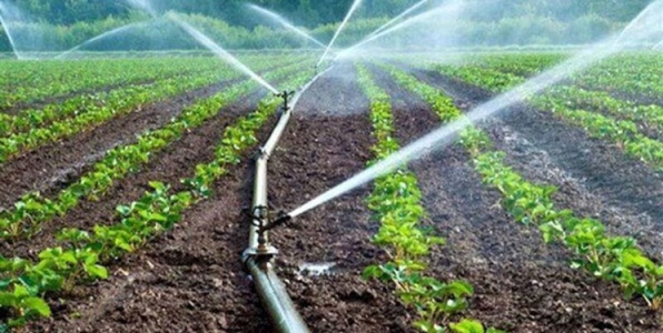 میزان مصرف آب در کشاورزی کشور 70 درصد است 