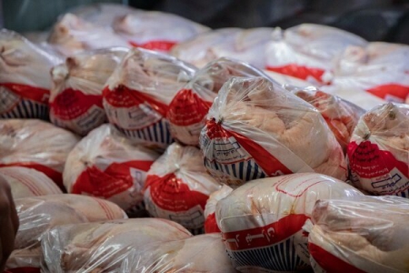  عرضه ۱۶ میلیون قطعه مرغ از کشتارگاه‌های کرمانشاه