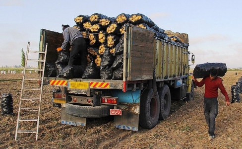 ۱۲۲ هزار تن سیب زمینی از گمرک درگز به ترکمنستان صادر شد