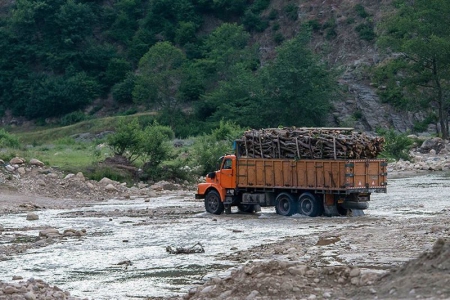 جلوگیری از قطع درختان جنگلی کردستان نیازمند عزم ملی است