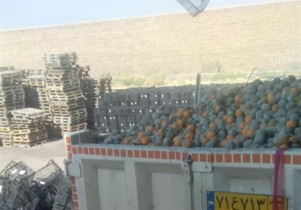 پرتقال‌های فاسد در مازندران کشف شد 