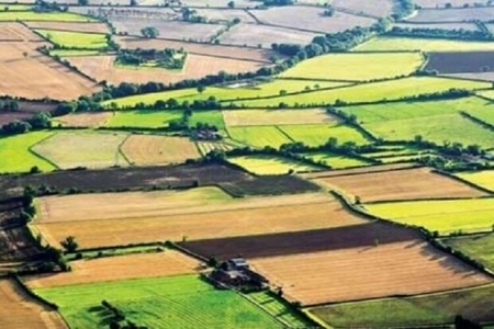 مرگ خاموش کشاورزی گلستان ارمغان تاریک خرد کردن اراضی کشاورزی